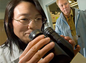 Researching Pancreatic Cancer Symptoms